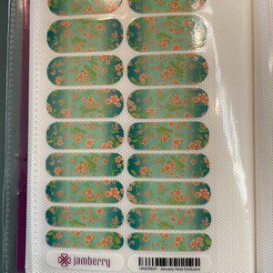 Jamberry Full Sheet January Host Exclusive (2016)
